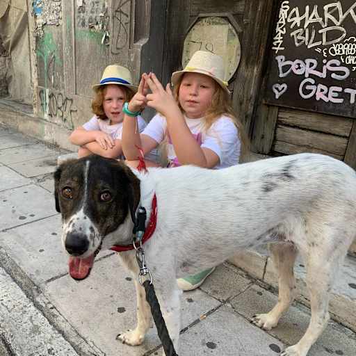 Profile image for pet sitters Michal & Monika