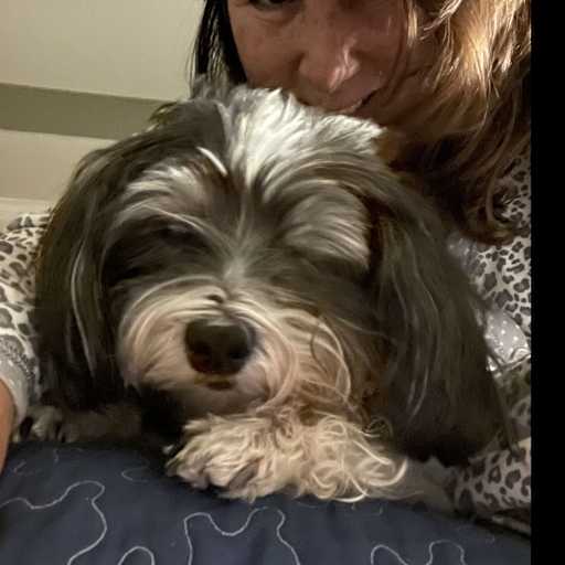 Profile image for pet sitters Barbara & Paul