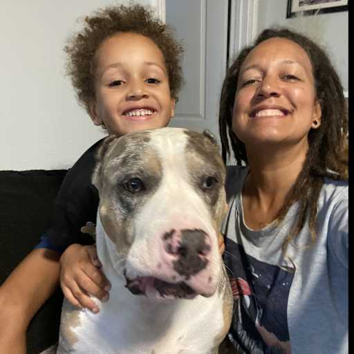 Profile image for pet sitter Lucy