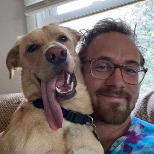 Profile image for pet sitter Harley