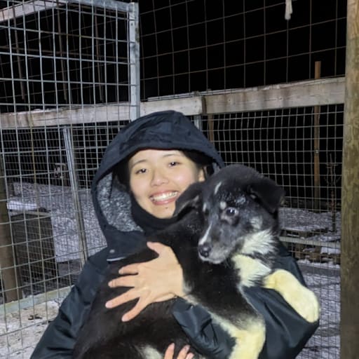 Profile image for pet sitter Shiori