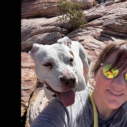 Profile image for pet sitter Elizabeth