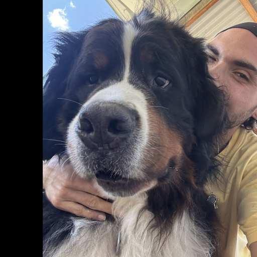 Profile image for pet sitter Romuald