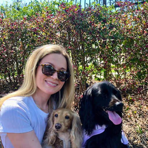 Profile image for pet sitter Mercey