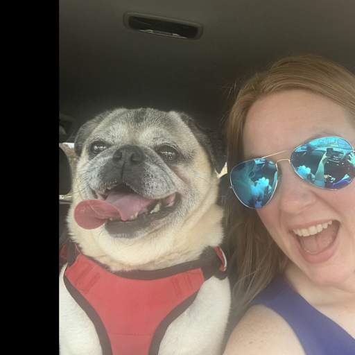 Profile image for pet sitter Jessi