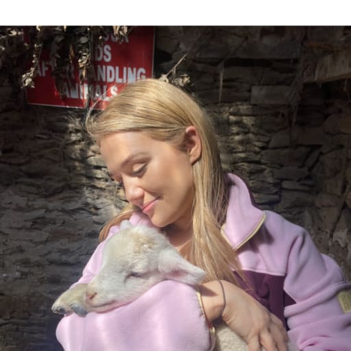 Profile image for pet sitter Aisling