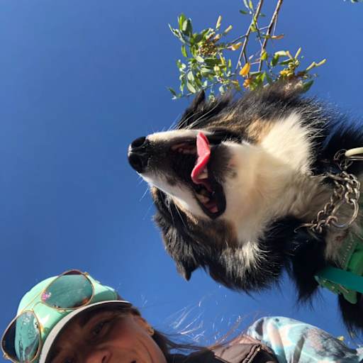 Profile image for pet sitter Elli