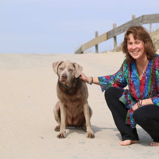 Profile image for pet sitters Amanda & Jeroen