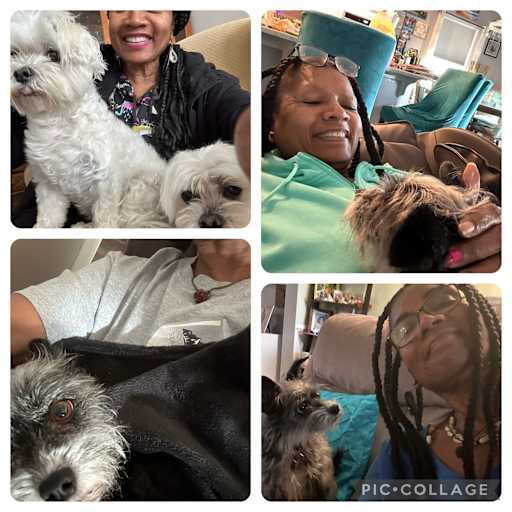 Profile image for pet sitters Sheron & James