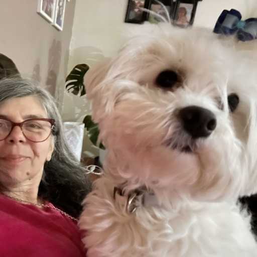 Profile image for pet sitter Sandra