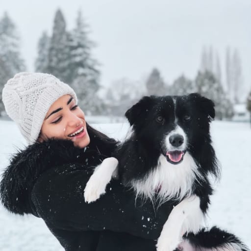 Profile image for pet sitter Lora