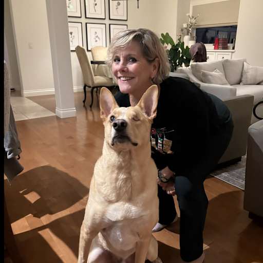 Profile image for pet sitter Louise