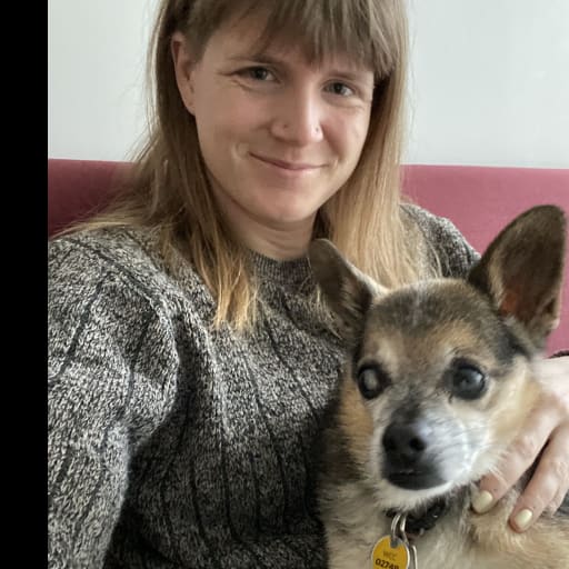 Profile image for pet sitter Katy