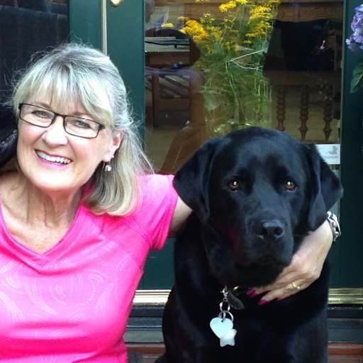 Profile image for pet sitters Kiett & Paul