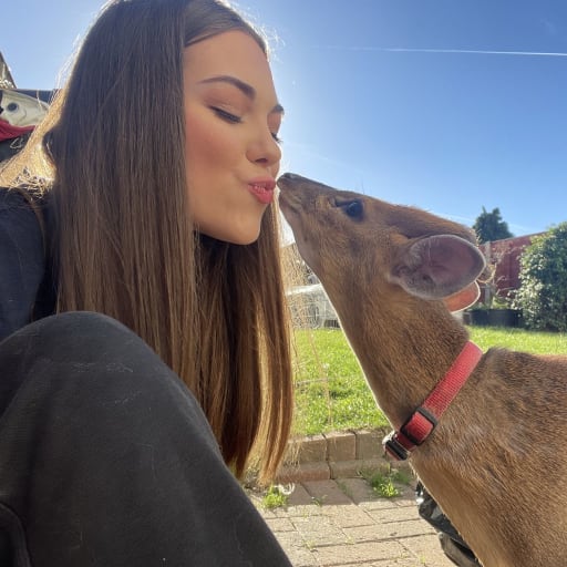 Profile image for pet sitter Sadie