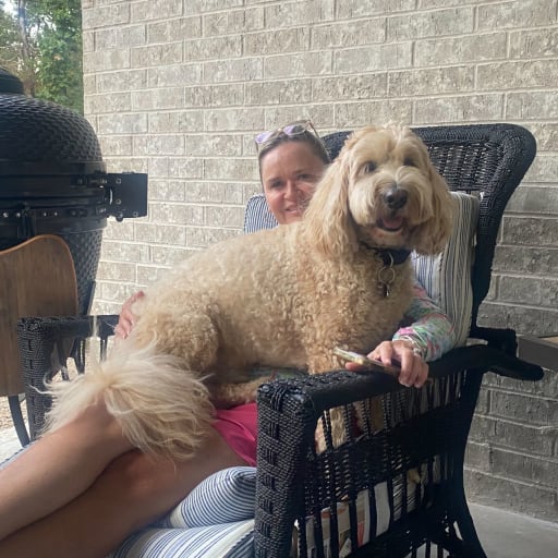 Profile image for pet sitters Nicole & Jim
