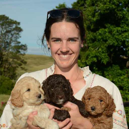 Profile image for pet sitter Madeleine