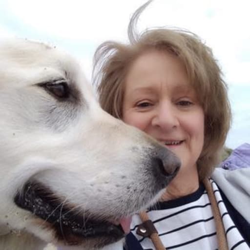 Profile image for pet sitter Gillian