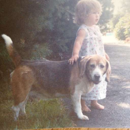 Profile image for pet sitter Anne