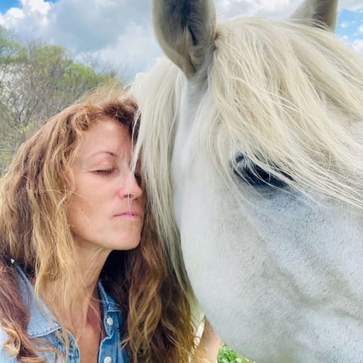 Profile image for pet sitter Laurence Anne