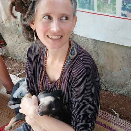 Profile image for pet sitter Claire