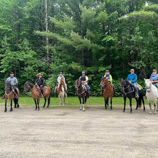 Profile image for pet sitter Julian