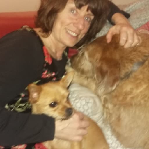 Profile image for pet sitter karen