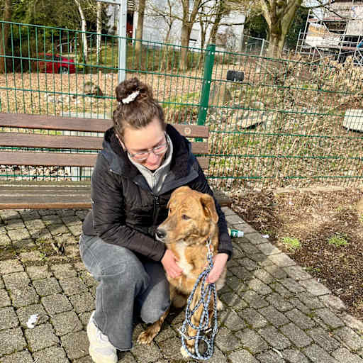 Profile image for pet sitter Antonia