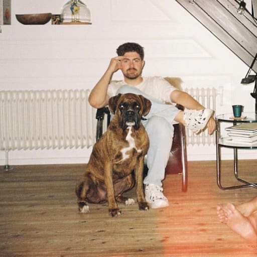 Profile image for pet sitter Joppe