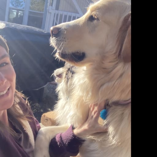 Profile image for pet sitter Sarah
