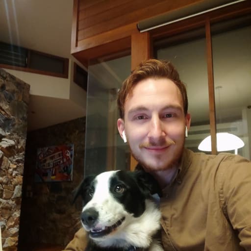 Profile image for pet sitter Alexander