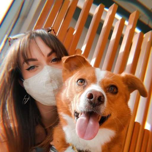 Profile image for pet sitter Jamieson