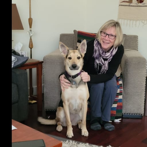 Profile image for pet sitters Sally & David