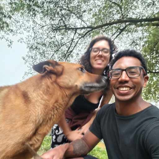 Profile image for pet sitters Paloma Rodriguez & Daniel