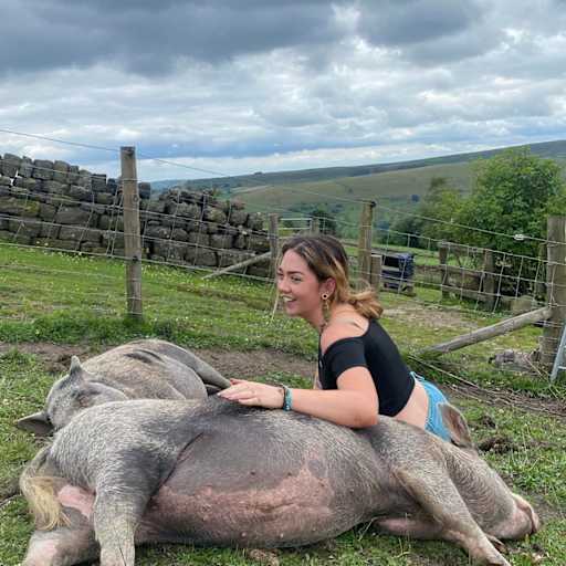 Profile image for pet sitters Megan & Jack
