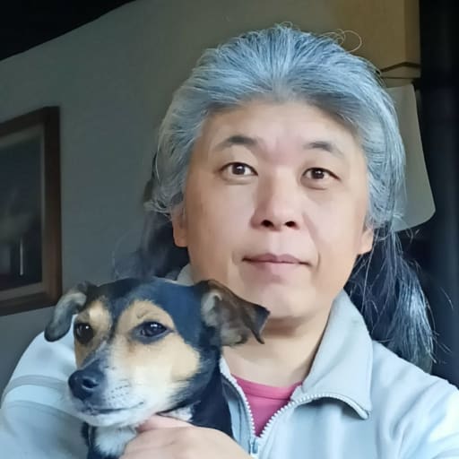 Profile image for pet sitter Sakae