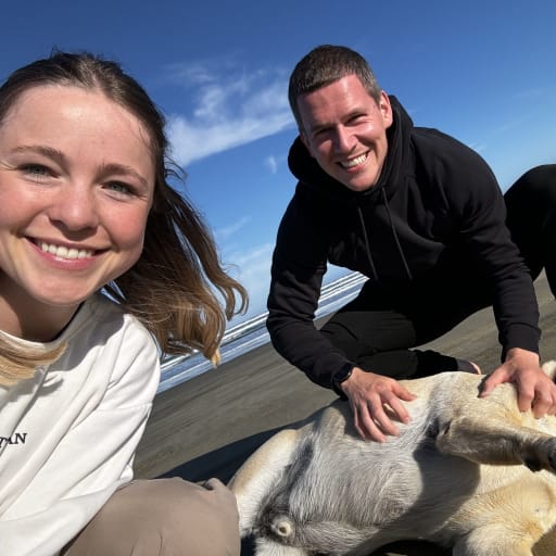 Profile image for pet sitters Dylan James & Lena