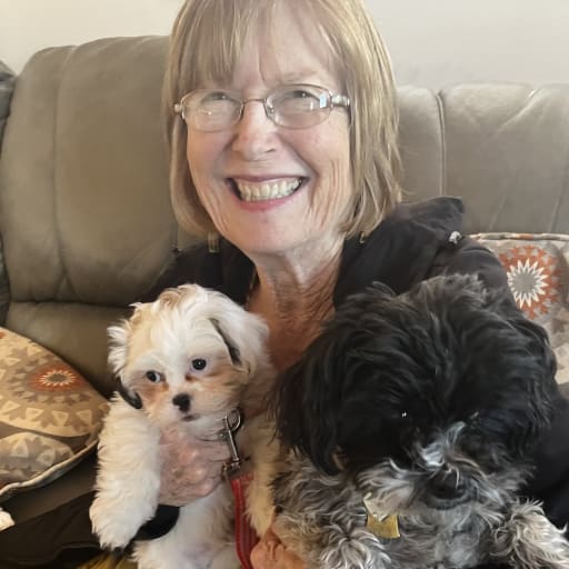 Profile image for pet sitter Janet