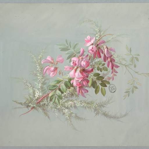 Profile image for pet sitter Silvia