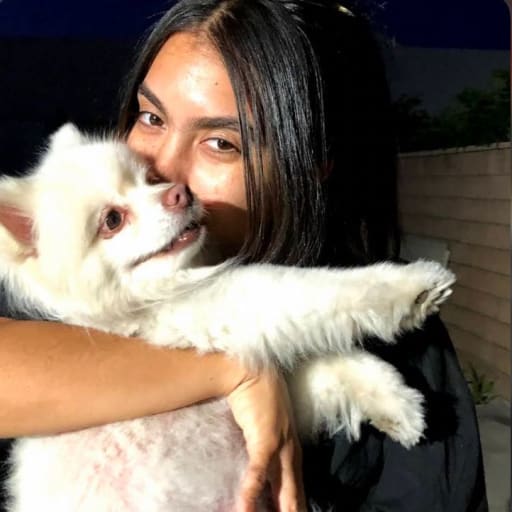 Profile image for pet sitter andy