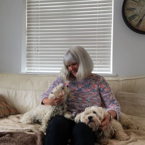 Profile image for pet sitter Sheryl