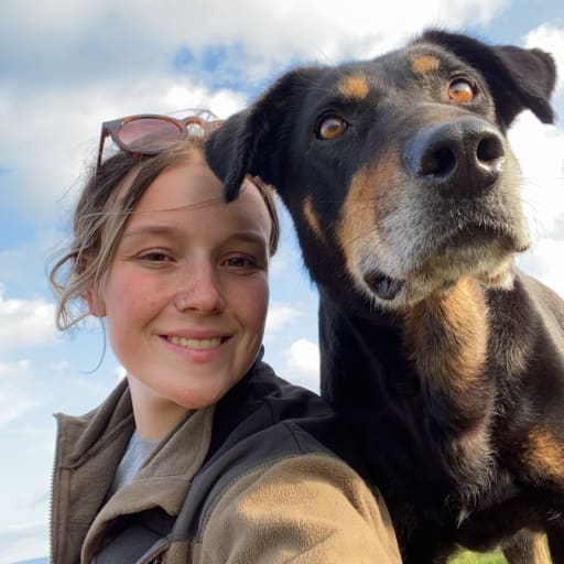 Profile image for pet sitters Elain & Gareth