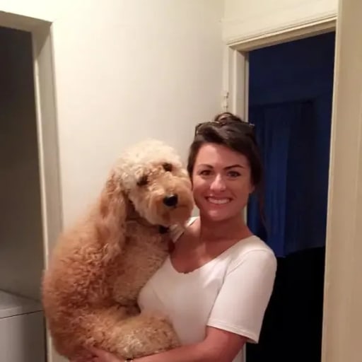 Profile image for pet sitter Lacy