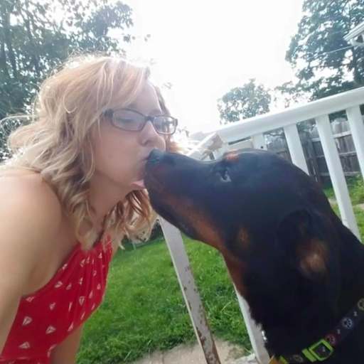 Profile image for pet sitters Erica & Jerimeh