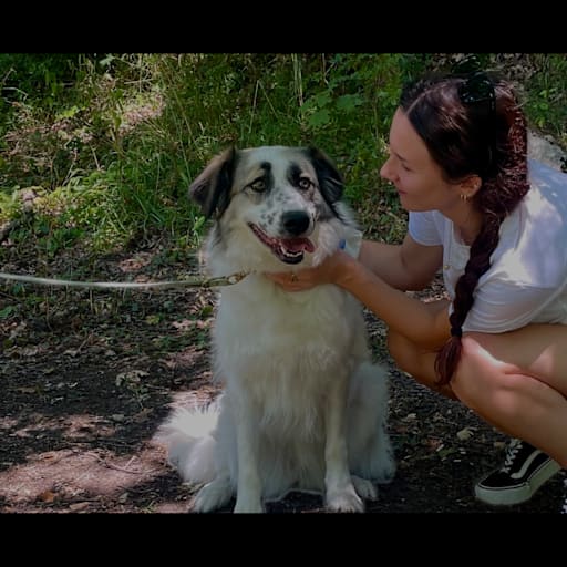 Profile image for pet sitter Gaia