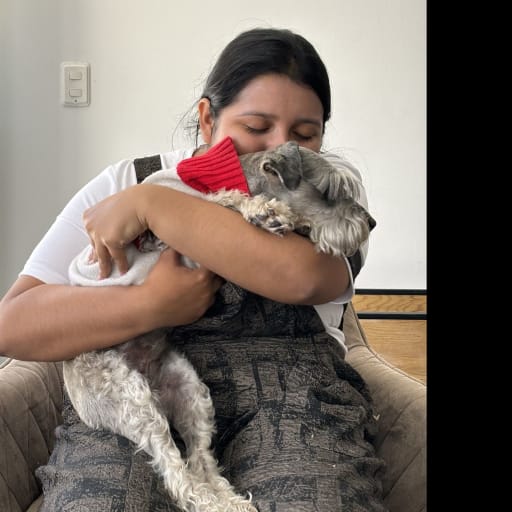 Profile image for pet sitter Shirley