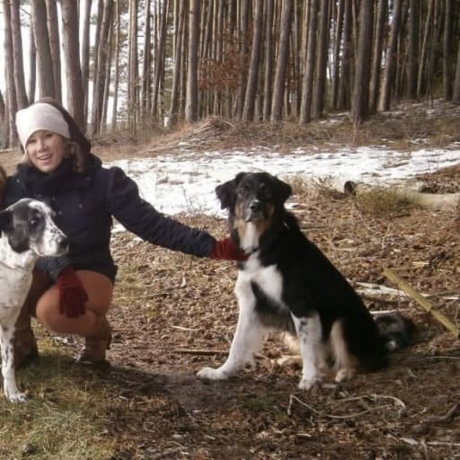 Profile image for pet sitter Sonia