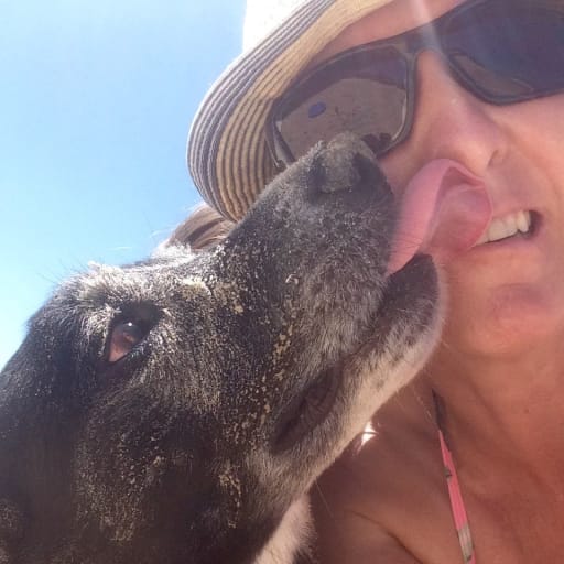 Profile image for pet sitter Dawn