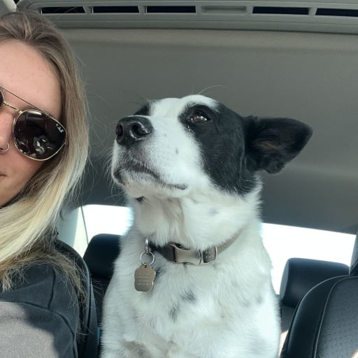 Profile image for pet sitter Skylar