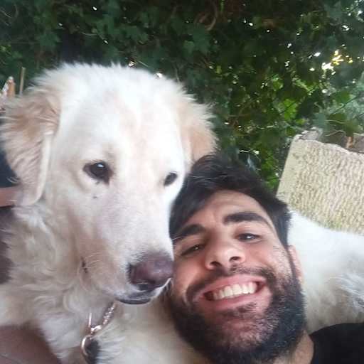 Profile image for pet sitter Samuele